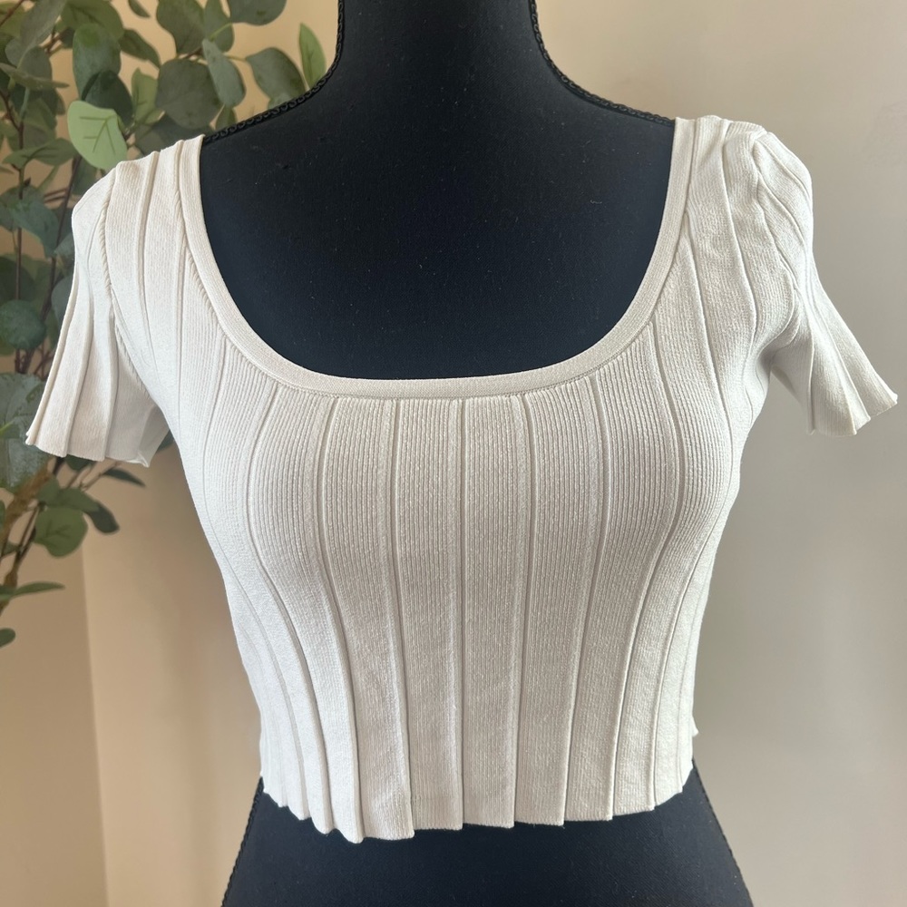 Kendall & kylie crop top